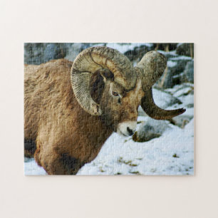 Bighorn Sheep Ram Legpuzzel