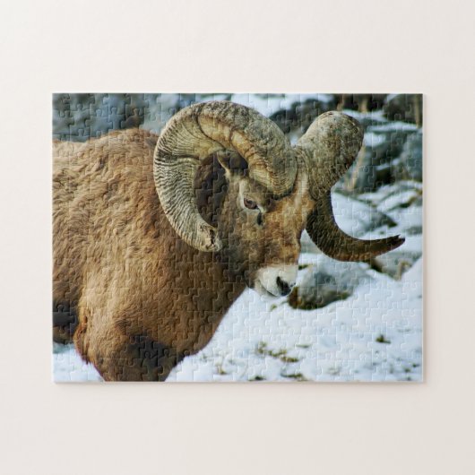 Bighorn Sheep Ram Legpuzzel (Horizontaal)