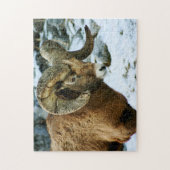 Bighorn Sheep Ram Legpuzzel (Verticaal)