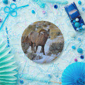 Bighorn Sheep Sneeuwfoto Papieren Bordje (Feest)