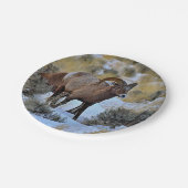 Bighorn Sheep Sneeuwfoto Papieren Bordje (Gekanteld)
