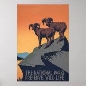 Bighorn Sheep Sunset Poster (Voorkant)