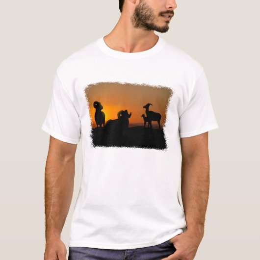 Bighorn Sheep T-shirt (Voorkant)