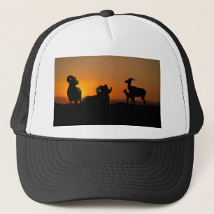 Bighorn Sheep Trucker Pet