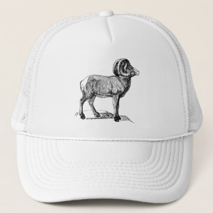 Bighorn Sheep Trucker Pet