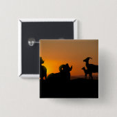 Bighorn Sheep Vierkante Button 5,1 Cm (Voorkant /achterkant)