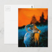 Bighorn tegen zonsondergang briefkaart (Voorkant / Achterkant)