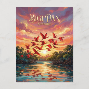 Bigi Pan Natuurreservaat Suriname Briefkaart