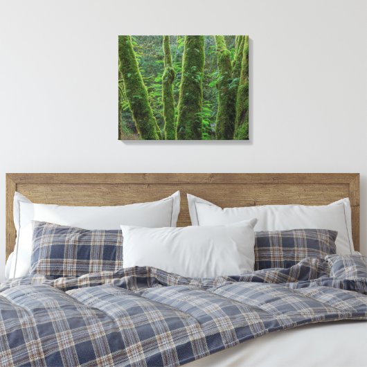 Bigleaf Maple Trees & Ferns | Staat Washington Canvas Afdruk (Insitu (Slaapkamer))