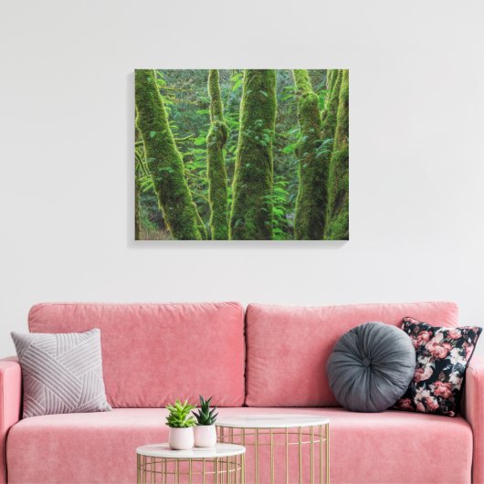 Bigleaf Maple Trees & Ferns | Staat Washington Canvas Afdruk (Insitu (Woonkamer))
