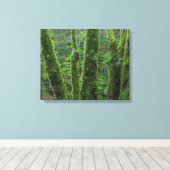 Bigleaf Maple Trees & Ferns | Staat Washington Canvas Afdruk (Insitu (Houten vloer))