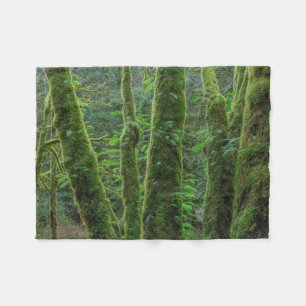 Bigleaf Maple Trees & Ferns Staat Washington Fleece Deken