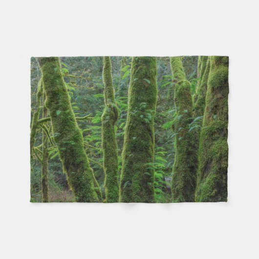 Bigleaf Maple Trees & Ferns | Staat Washington Fleece Deken (Voorkant (Horizontaal))
