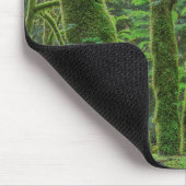 Bigleaf Maple Trees & Ferns | Staat Washington Muismat (Hoek)