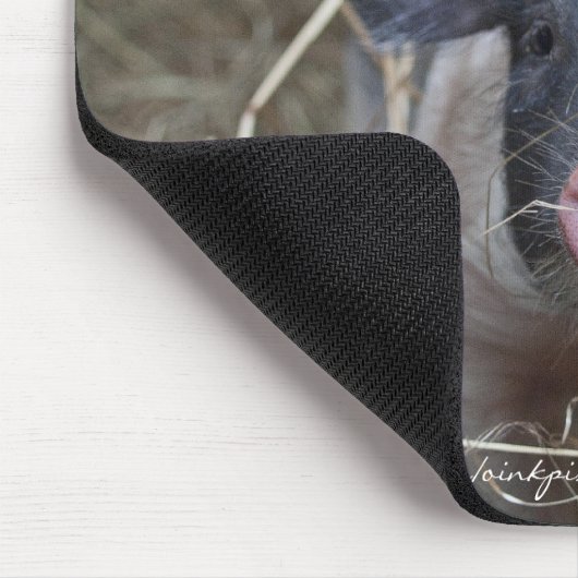 Biglet in stro muismat (Hoek)