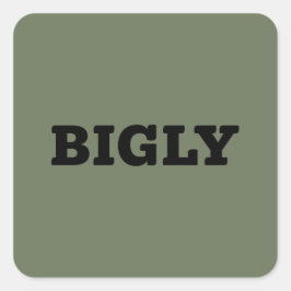 BIGLY SQUARE-STICKER VIERKANTE STICKER