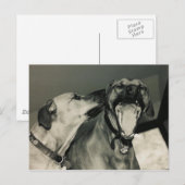 bigmouth briefkaart (Voorkant / Achterkant)