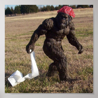 Bigvoetwaarneming Poster