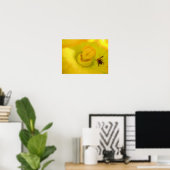 Bij bij gele courgettebloem klein poster (Thuiskantoor)