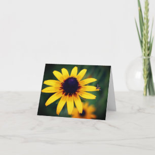 Bij Black Eyed Susan Bloem Fotografie  Notitiekaartje