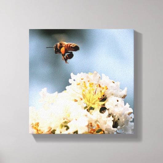 Bij bloem canvasprint canvas afdruk (Voorkant)