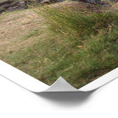 Bij Bronte Bridge Poster (Hoek)