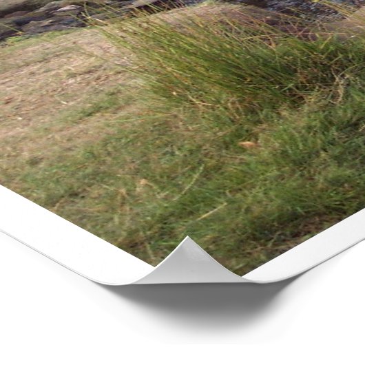 Bij Bronte Bridge Poster (Hoek)