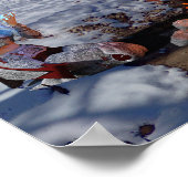 Bij de Fire Fantasy Poster Print (Hoek)