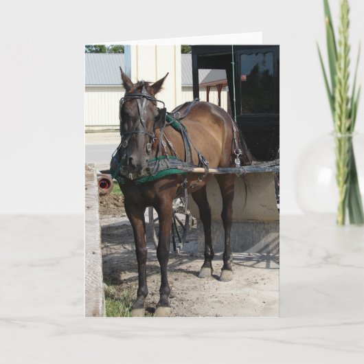 Bij de Post Hitching Kaart (Voorkant)