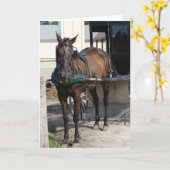 Bij de Post Hitching Kaart (Gele Bloem)