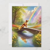 Bij de Rainbow Bridge Dog Sympathie Card (Voorkant)