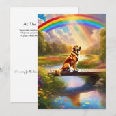 Bij de Rainbow Bridge Dog Sympathie Card (Voorkant / Achterkant)
