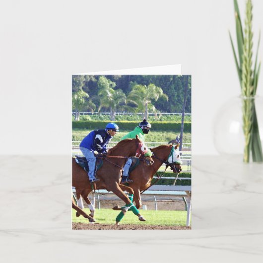 Bij de Rassen Kaart (Voorkant)