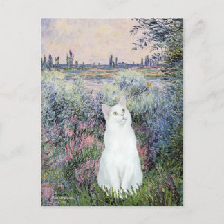 Bij de Seine - Witte kat Briefkaart