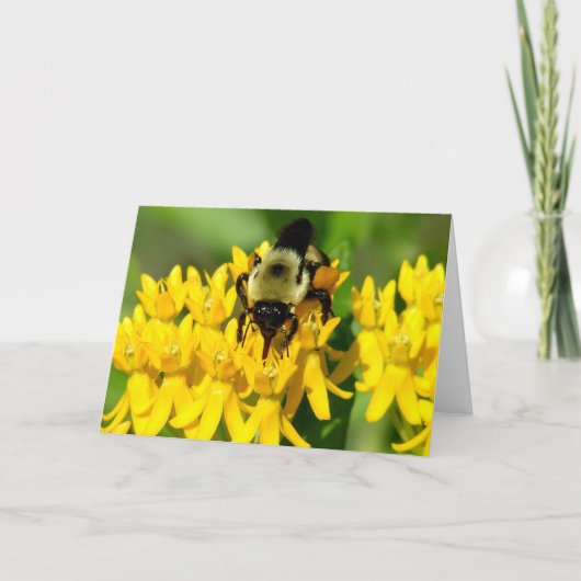 Bij die eet op vlinderonkruid wilde bloemen kaart (Voorkant)