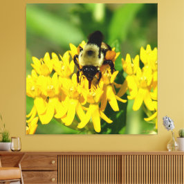 Bij die zich tegoed doet aan vlinderonkruid wilde  canvas afdruk