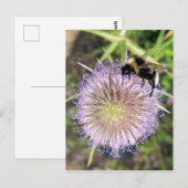 BIJ EN BLOEM BRIEFKAART (Voorkant / Achterkant)