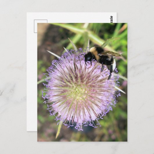 BIJ EN BLOEM BRIEFKAART (Voorkant / Achterkant)