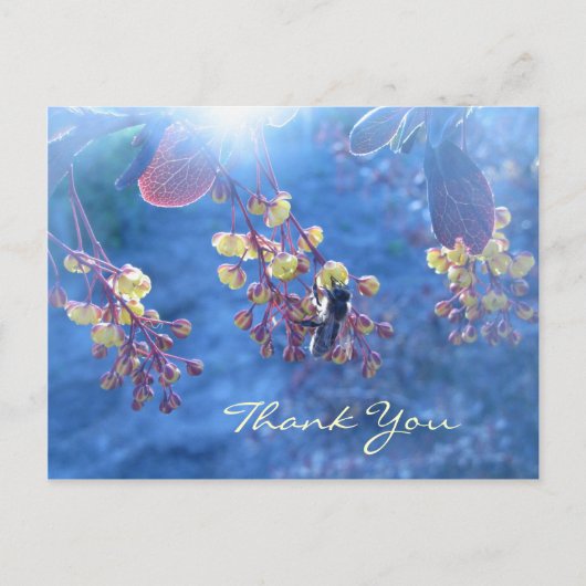 Bij en Bloemen Berberis Briefkaart (Voorkant)