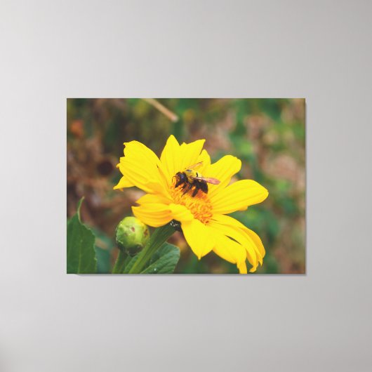 Bij Fotograferen van Helder Gele Bloem Canvas Afdruk (Voorkant)