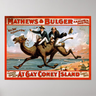 Bij Gay Coney Island Vintage Poster