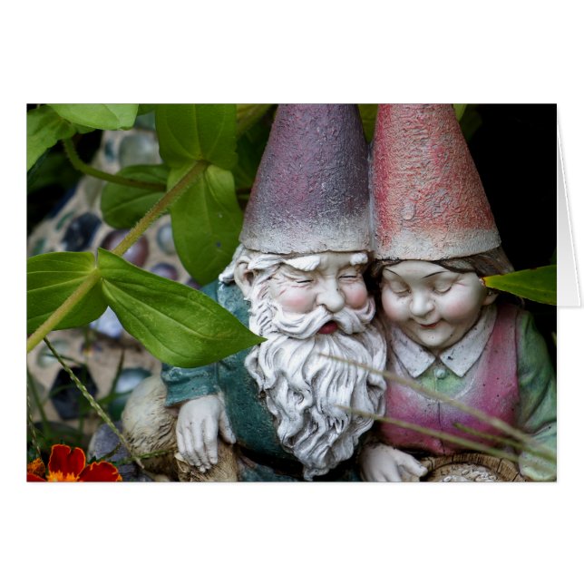 Bij Gnome in de tuin (Voorkant Horizontaal)