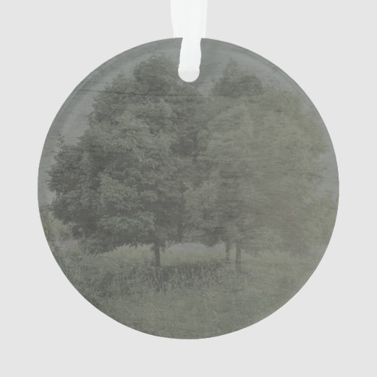 Bij het afspelen van Acrylfoto-versiering van gehe Ornament (achterkant)