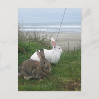 Bij het Briefkaart van de Beach