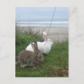 Bij het Briefkaart van de Beach (Voorkant)