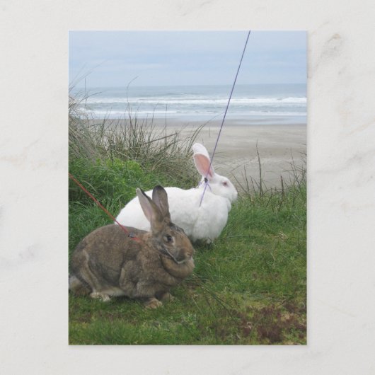 Bij het Briefkaart van de Beach (Voorkant)