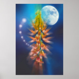 Bij het licht van de maan verzamelen de engelen ee poster