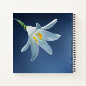 Bij het opslaan van geheugen | begrafenis, Memoria Notitieboek (Achterkant)