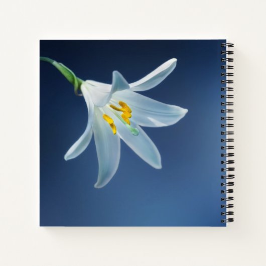 Bij het opslaan van geheugen | begrafenis, Memoria Notitieboek (Achterkant)