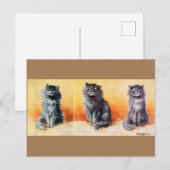 Bij het Show Cat, Louis Wain Briefkaart (Voorkant / Achterkant)